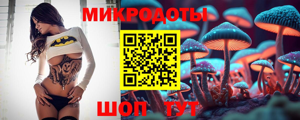 цена наркотик  Псилоцибиновые грибы ЛСД  Псилоцибиновые грибы Psilocybine cubensis  Вход с VPN  Верхняя Пышма 