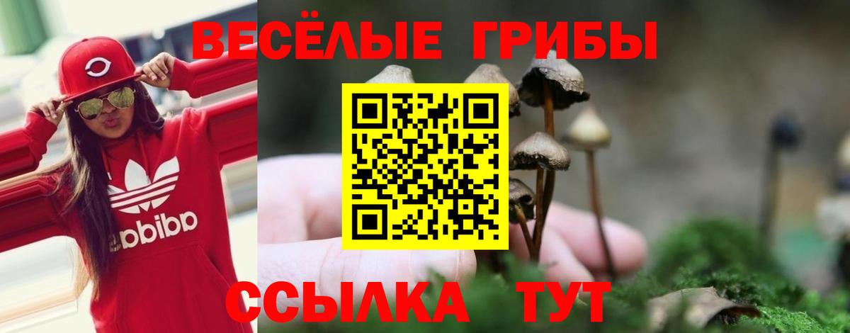 Псилоцибиновые грибы MAGIC MUSHROOMS Верхняя Пышма